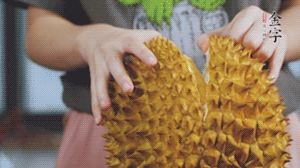 榴蓮剝好肉后，搗成泥狀。