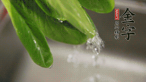 燒一鍋開水，滴一點(diǎn)油，水開后汆燙青菜至斷生即可。