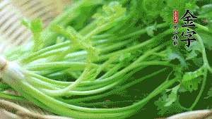 挑選鮮嫩的香菜，洗干凈后，處理成小段。