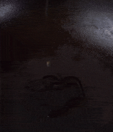 冷鍋熱油，下蒜片爆香，下香腸、玉米筍、蓮藕、西芹爆炒，期間加點水，翻炒1分鐘后加新鮮百合片，翻炒30秒。