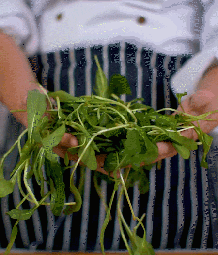 馬蘭頭焯水，切成細(xì)末。